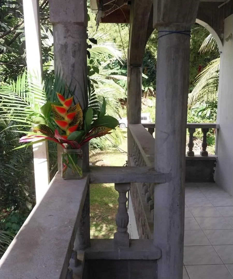 Iguana Apartments Roseau Dominica