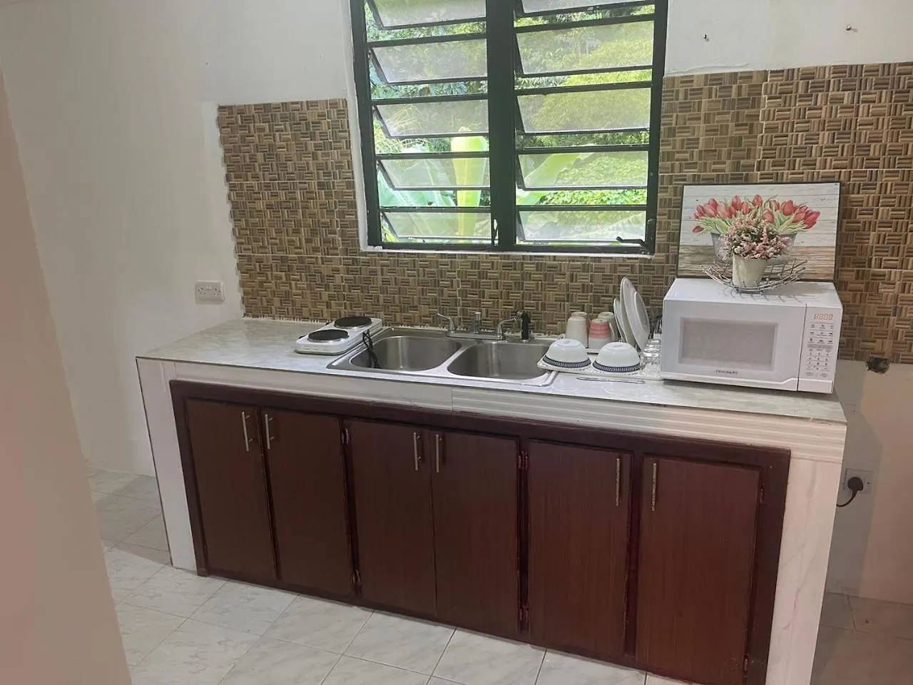Iguana Apartments Roseau 0*,